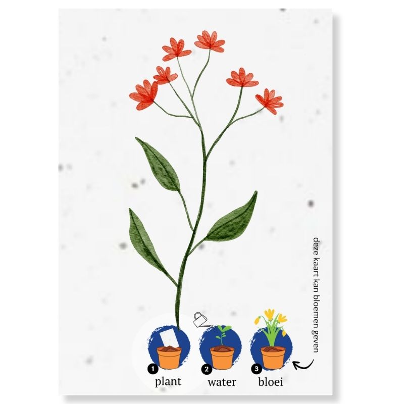 Loofys® groeikaart Rode bloemen, zaadpapier met rode bloementekening