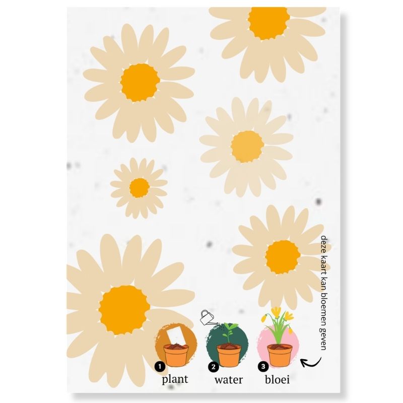 Loofys® groeikaart Madeliefjes, zaadpapier met madeliefjes
