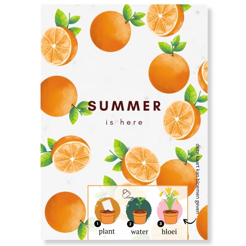 Loofys® groeikaart Summer is here, zomerse kaart van zaadpapier met sinaasappels
