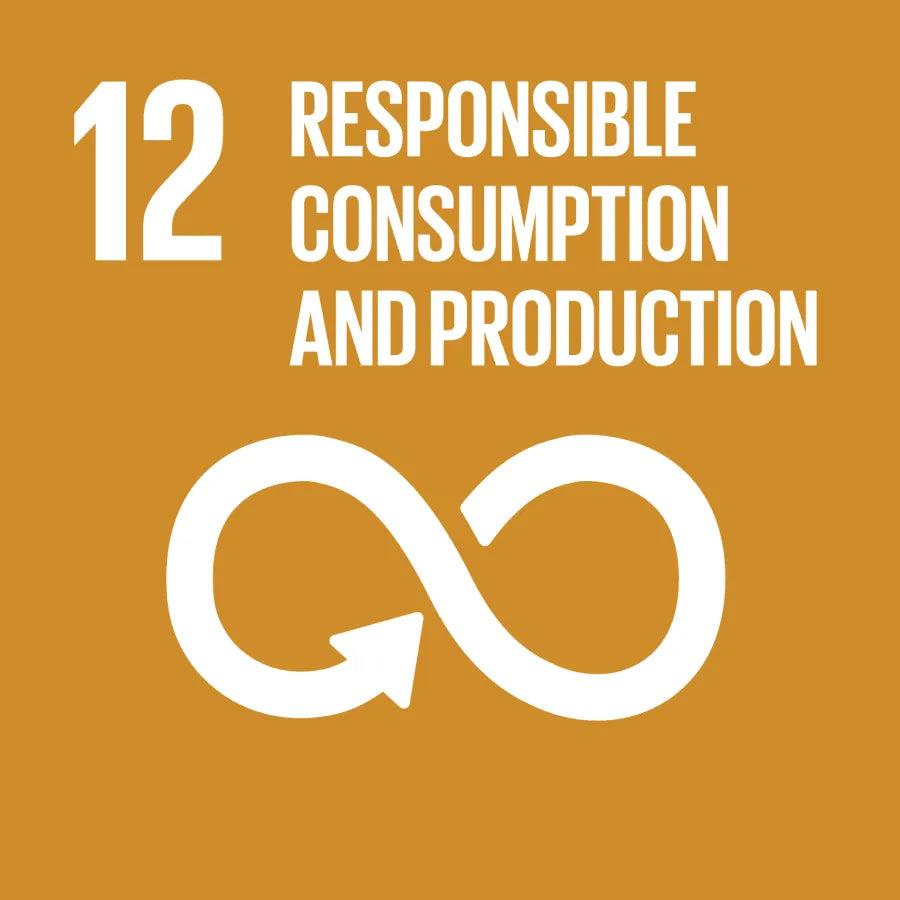 SDG 12 – Verantwoorde consumptie en productie