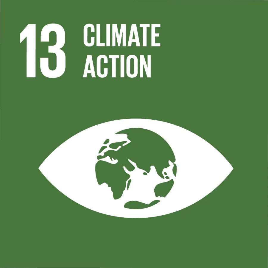 SDG 13 – Klimaatactie