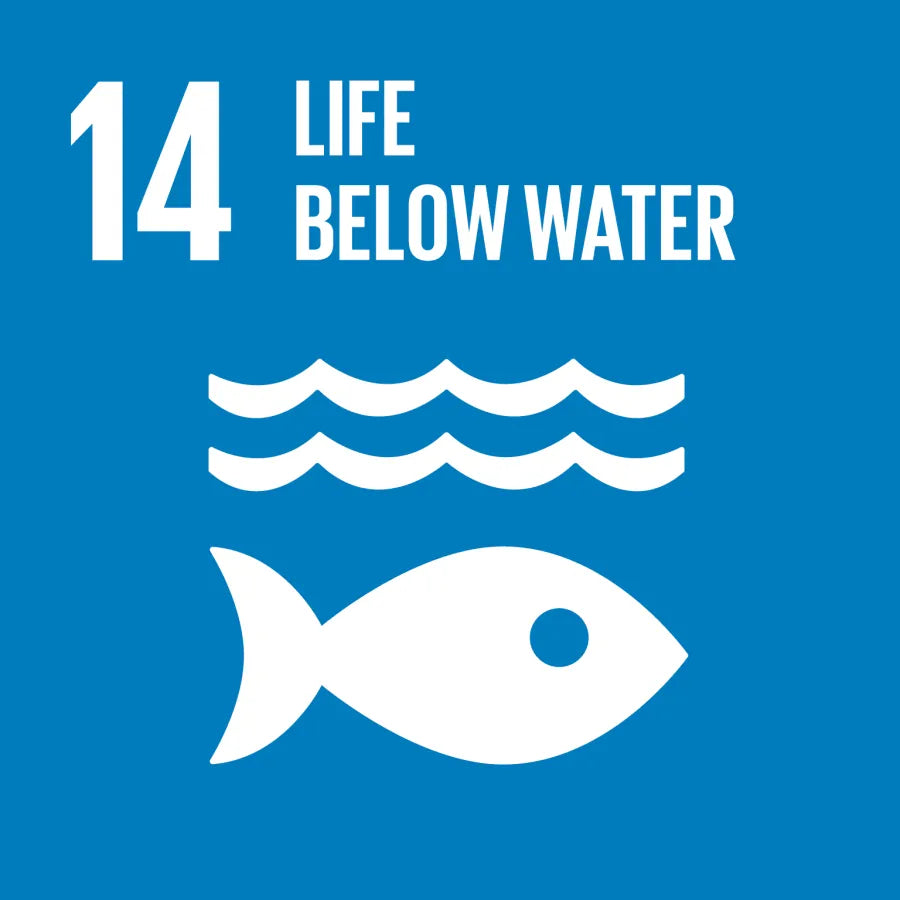 SDG 14 – Leven in het water