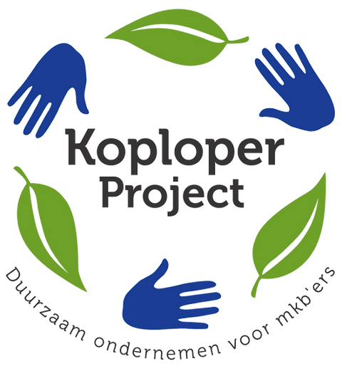 Logo Koploperproject dzyzzion kleuren-pn